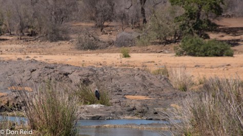 Letaba River walk, KNP