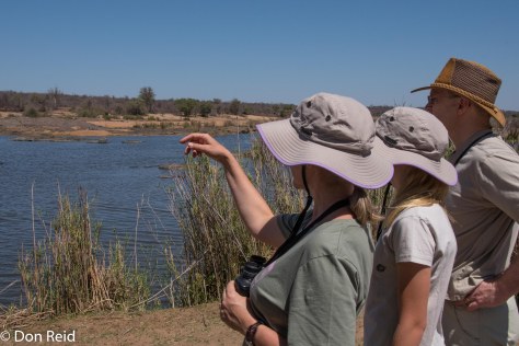 Letaba River walk, KNP