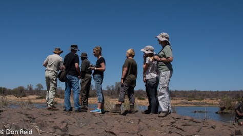 Letaba River walk, KNP
