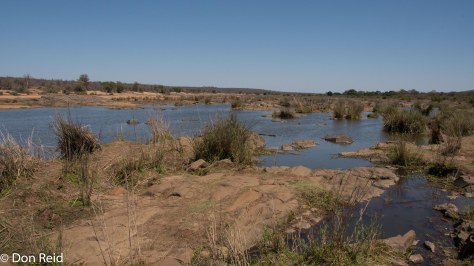Letaba River walk, KNP