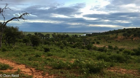 Chobe NP