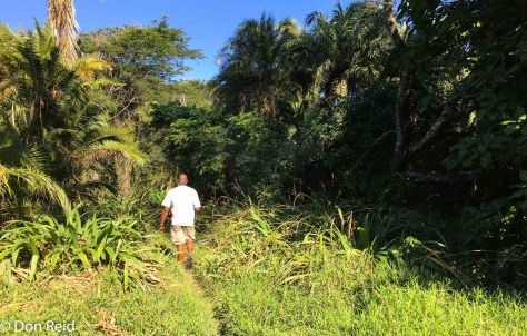 Amitigulu Nature Reserve
