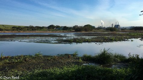 Sappi Mill Stanger / Kwadukuza