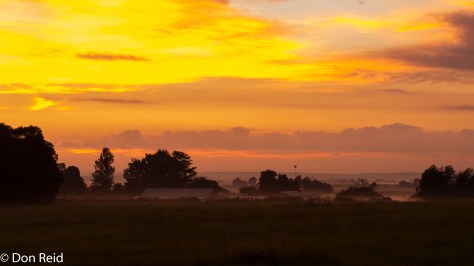Early morning, Delmas area