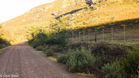 Along the R327 north of Herbertsdale