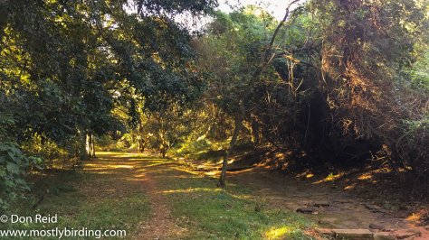 Pigeon Valley Durban