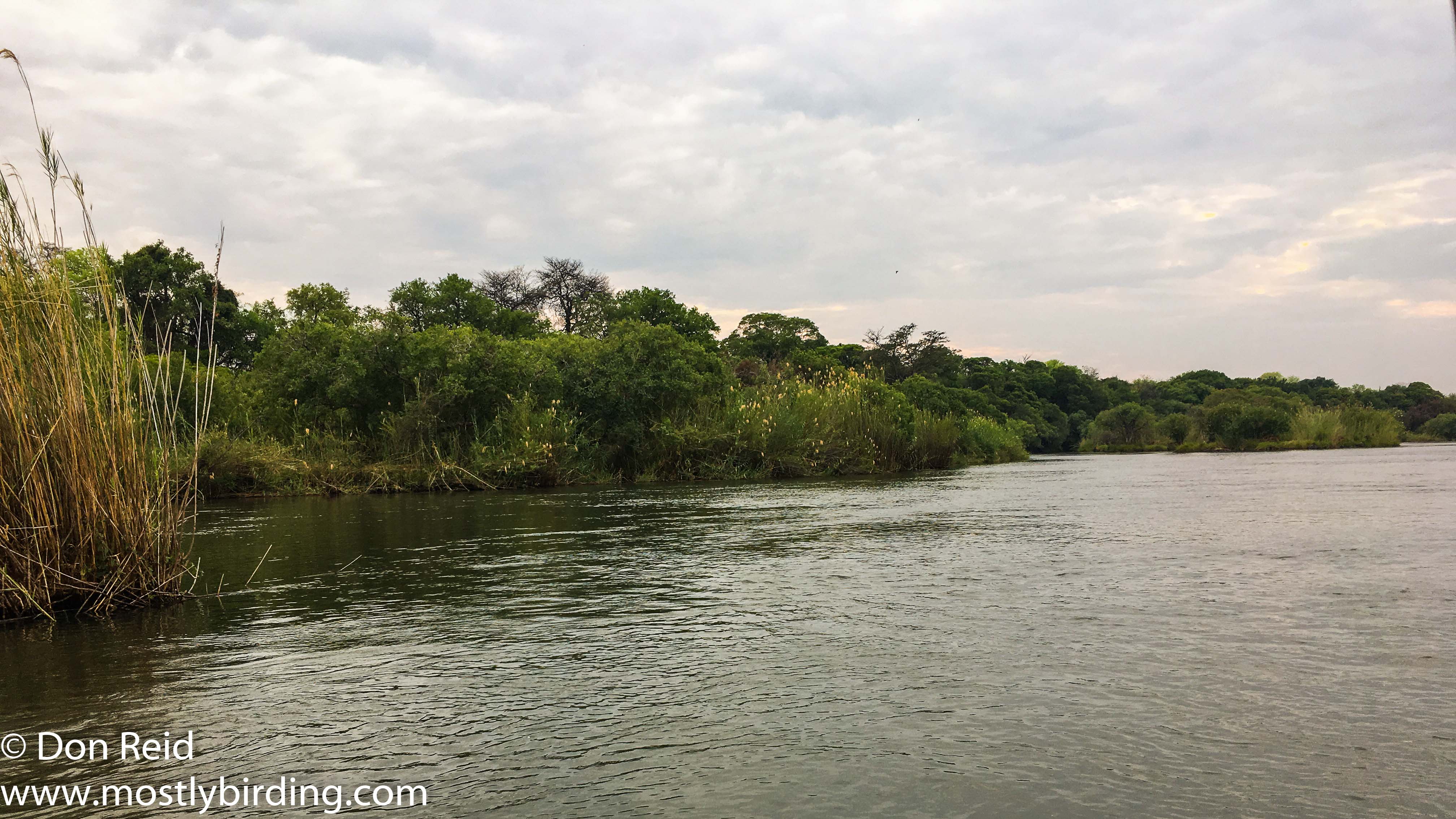 Chobe River trip