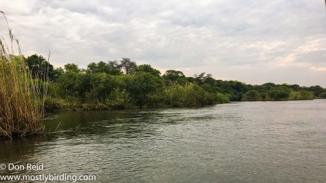 Chobe River trip