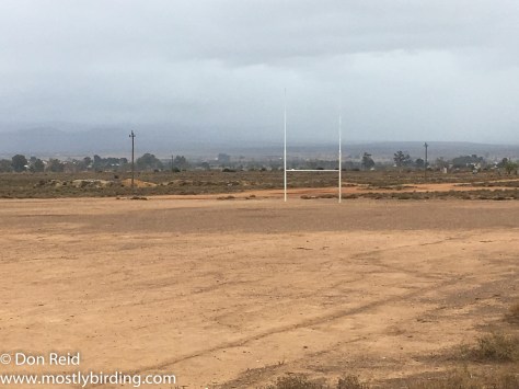 Rugby field, Oudtshoorn south