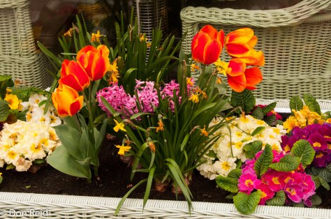 Prague - street scenes