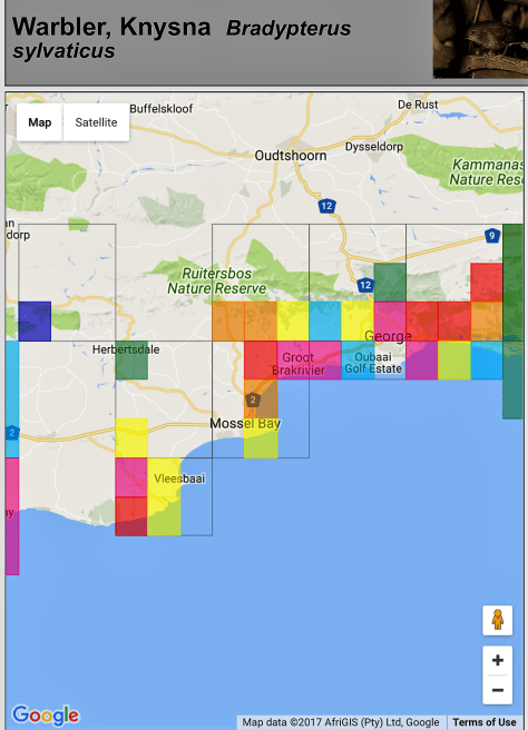 Knysna Warbler Map