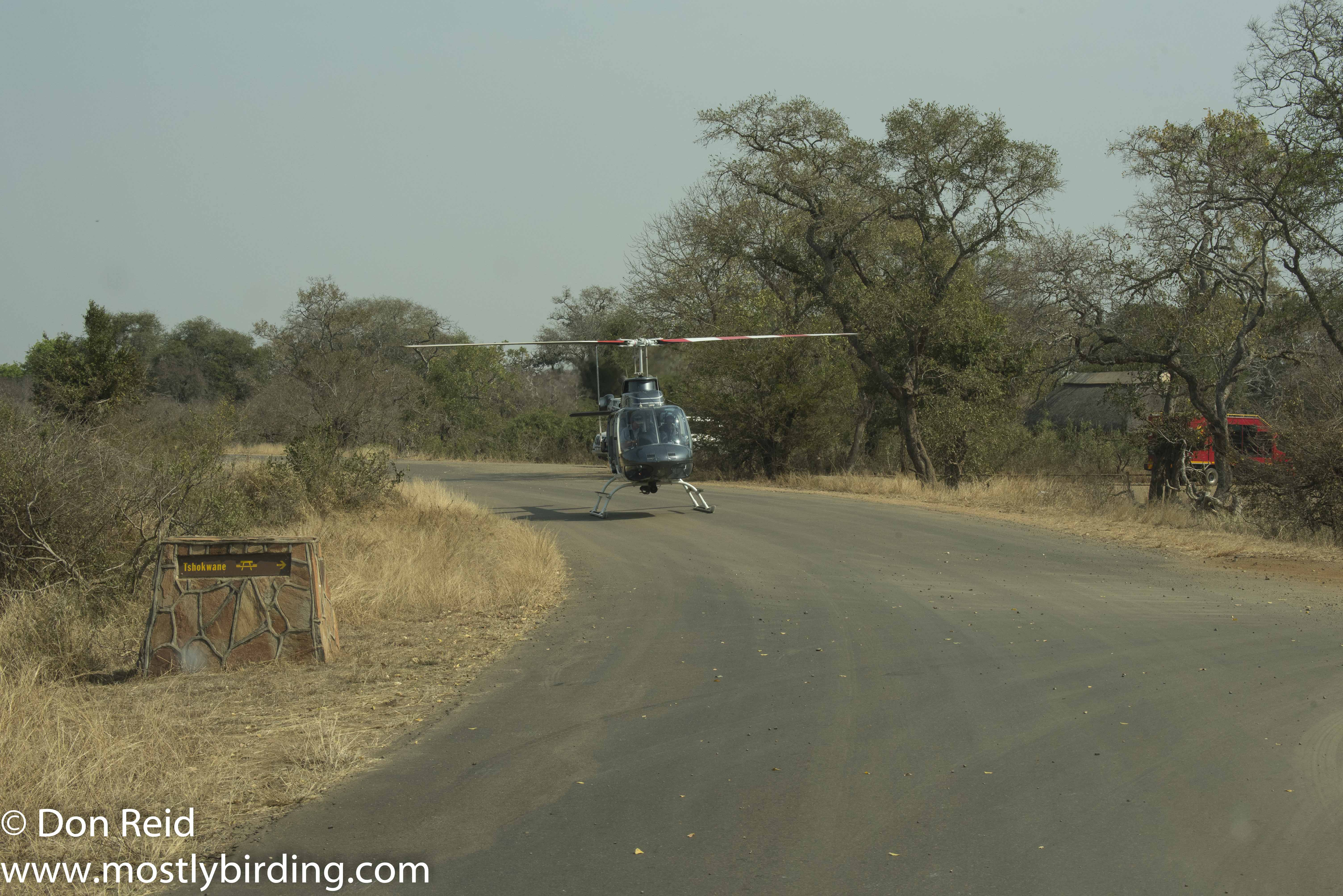 Whirly bird, Kruger Park