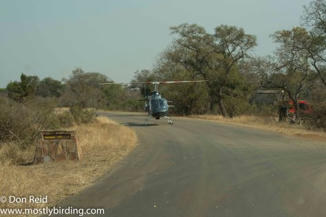 Whirly bird, Kruger Park