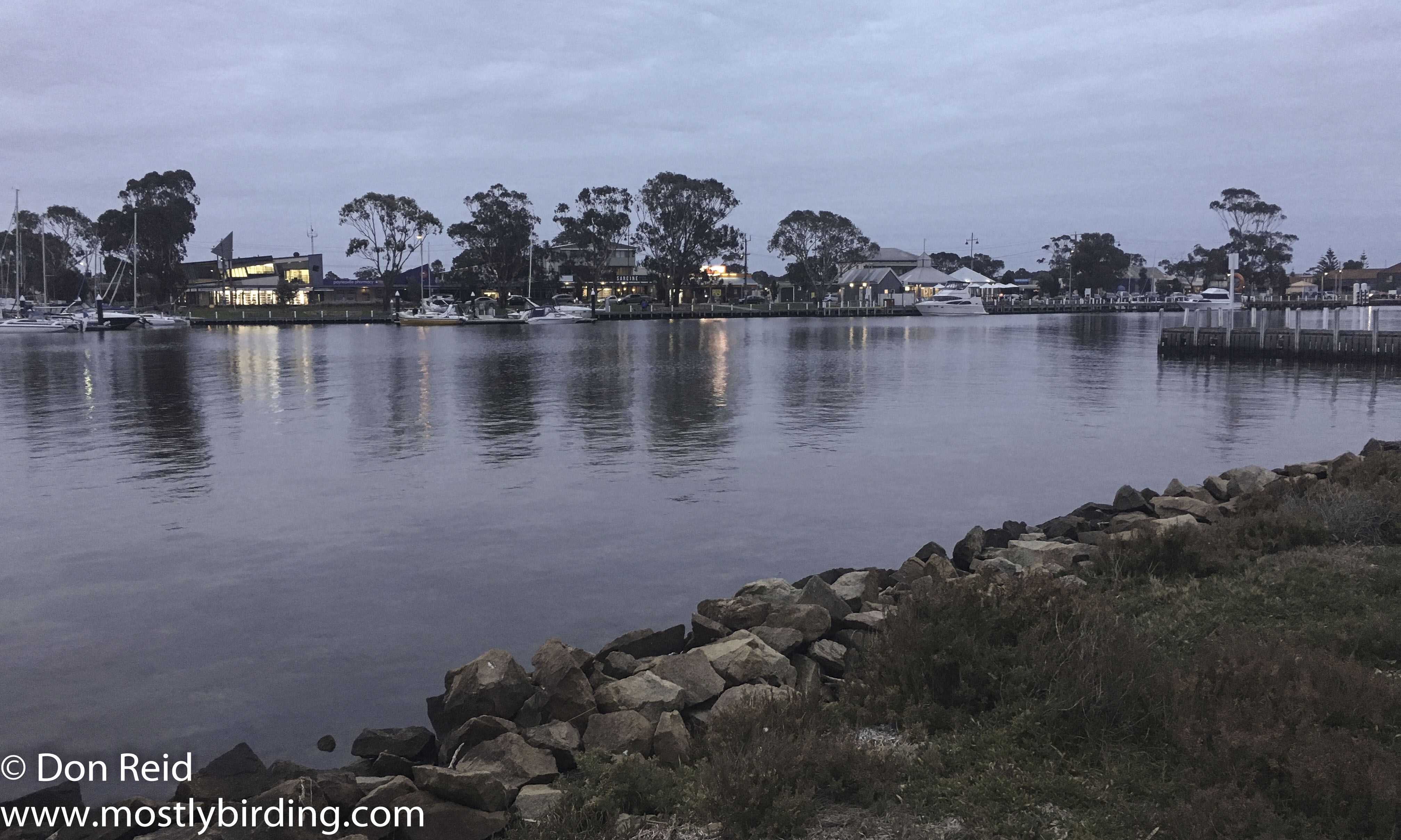 Paynesville-24