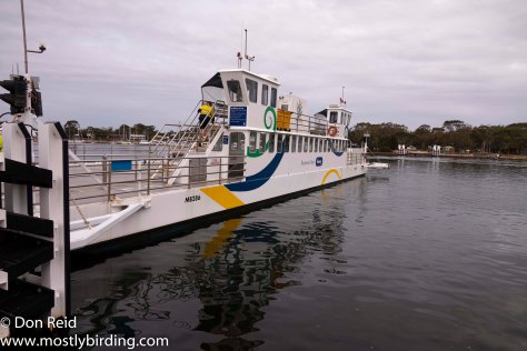 Ferry, Paynesville &amp; Raymond Island, Victoria