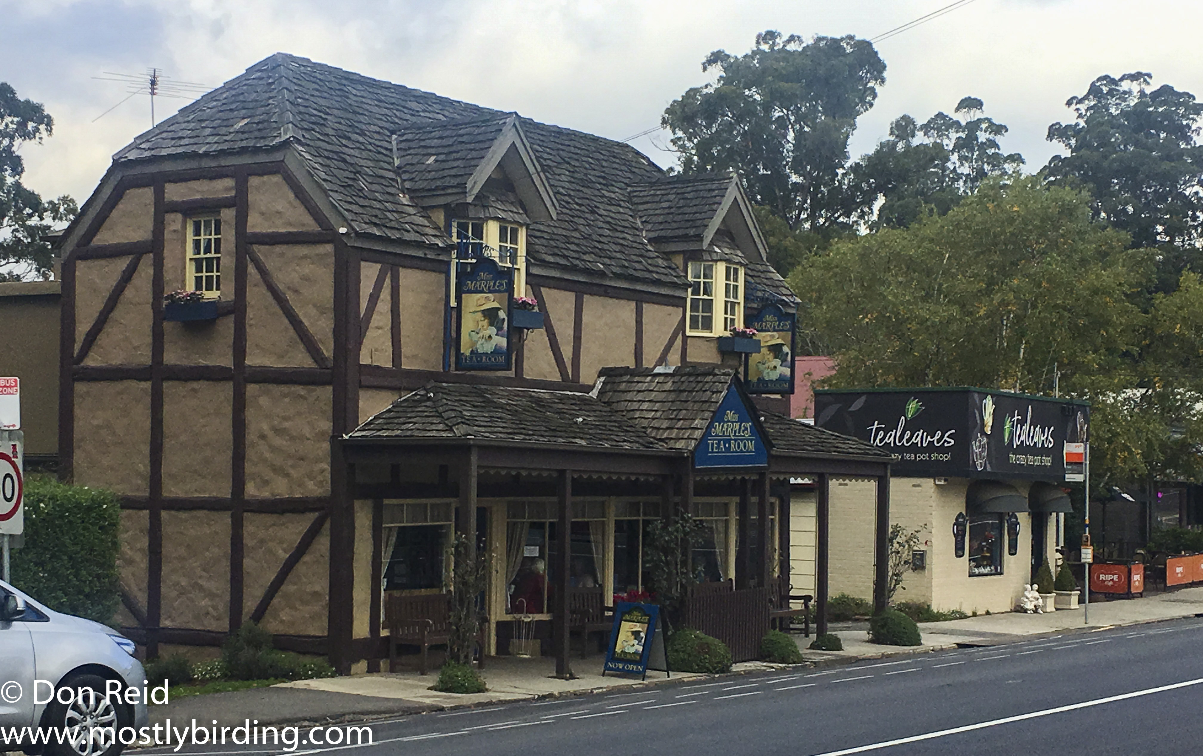 Miss Marples tearoom, Sassafras