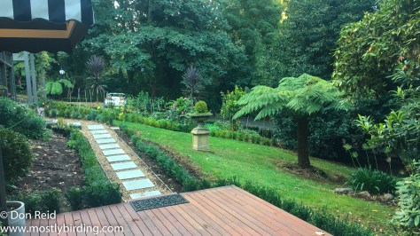 Belle le vie, Sassafras